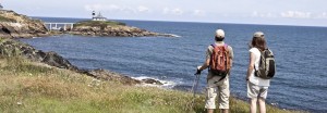 camino de santiago 