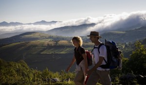 Camino de Santiago